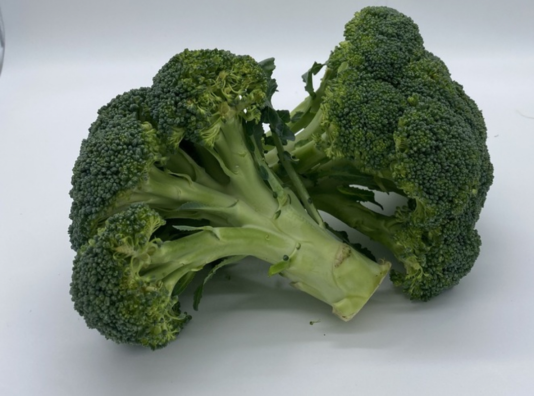 BROCOLI  ( Peso aprox 430gr)