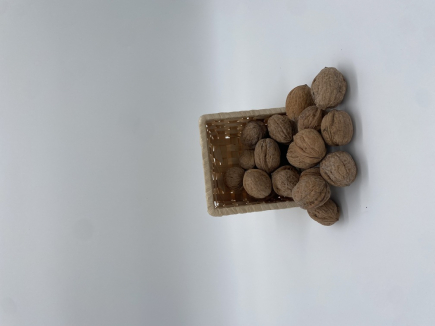 NUECES  del Terreno