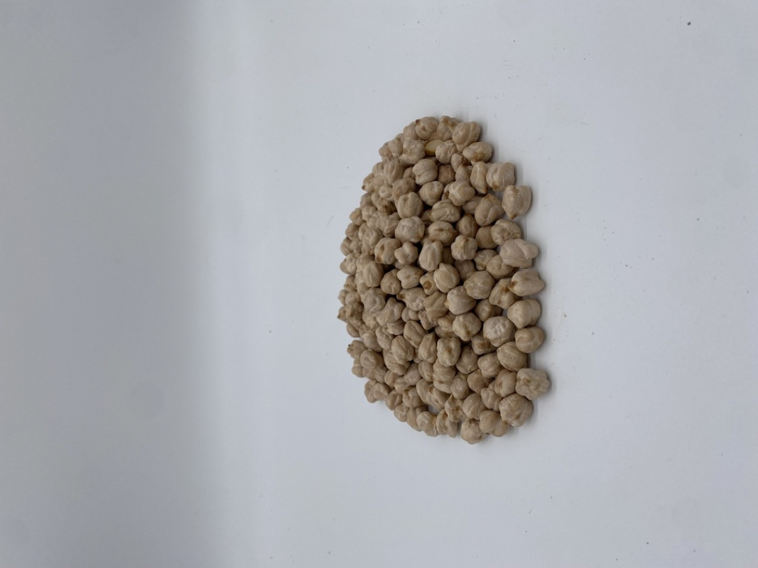 GARBANZOS LECHOSOS mínimo bolsa de 1/2 k