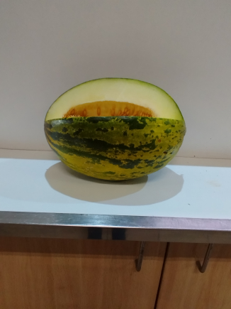 melón 