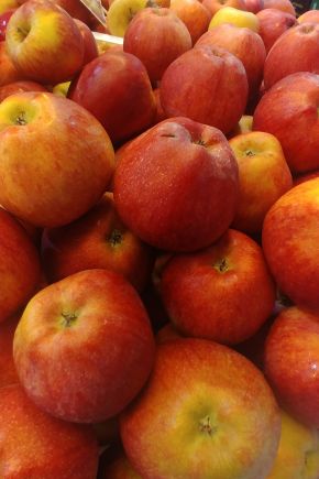 MANZANA DELICIO MEDIANA (SARGA) ROJA